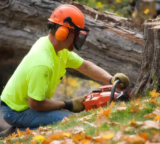 tree services Port Allen